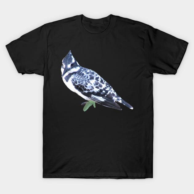 Pied Kingfisher - Bird - Africa - Kenya T-Shirt by T-SHIRTS UND MEHR